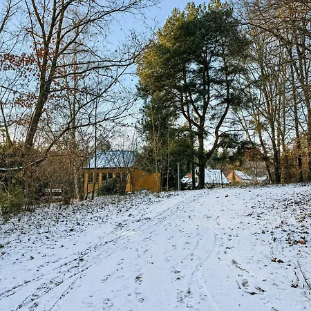 Nesvacilka *
